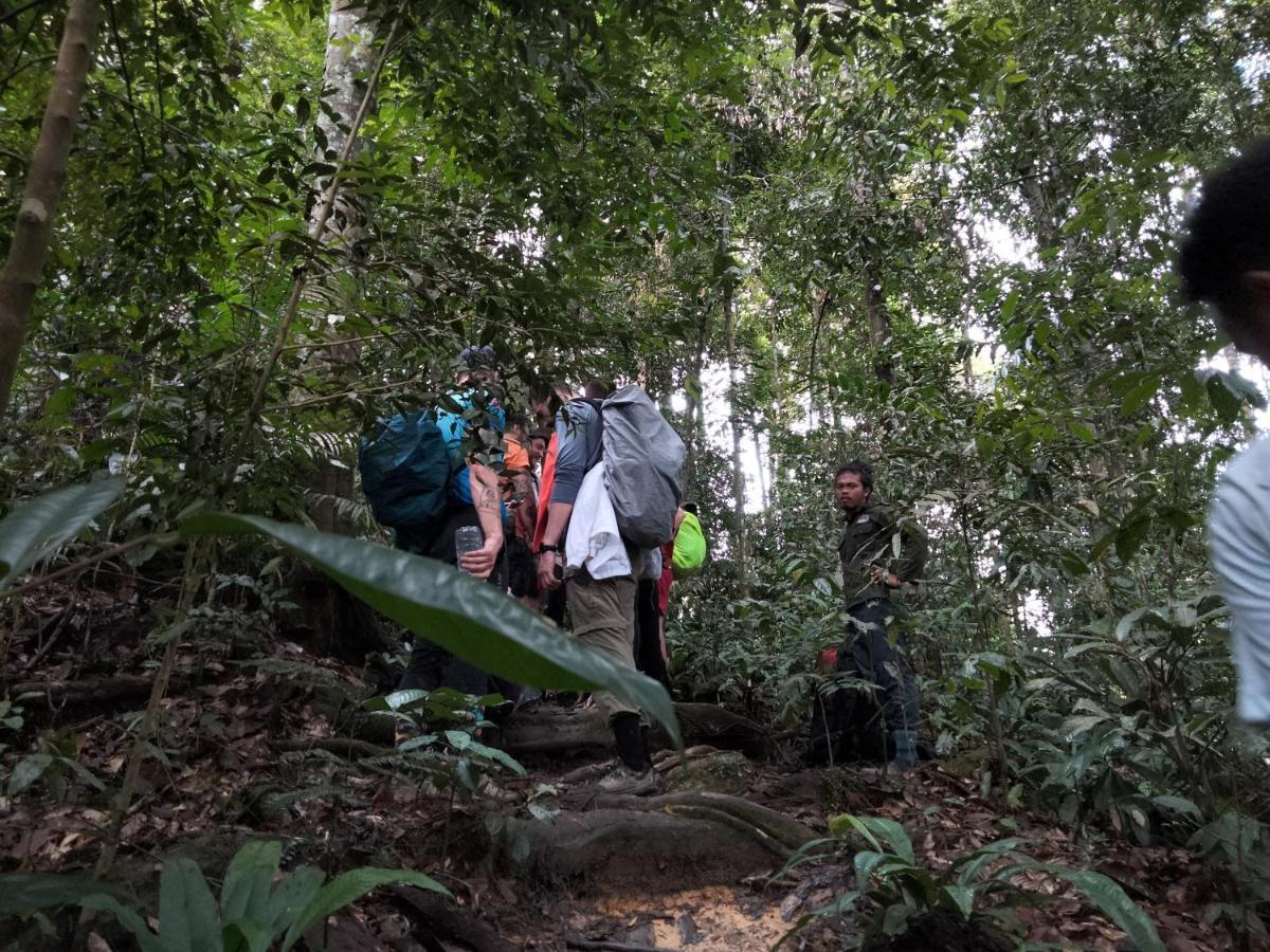 Asim Paris Guesthouse & Jungle Trekking Bukit Lawang Exterior foto