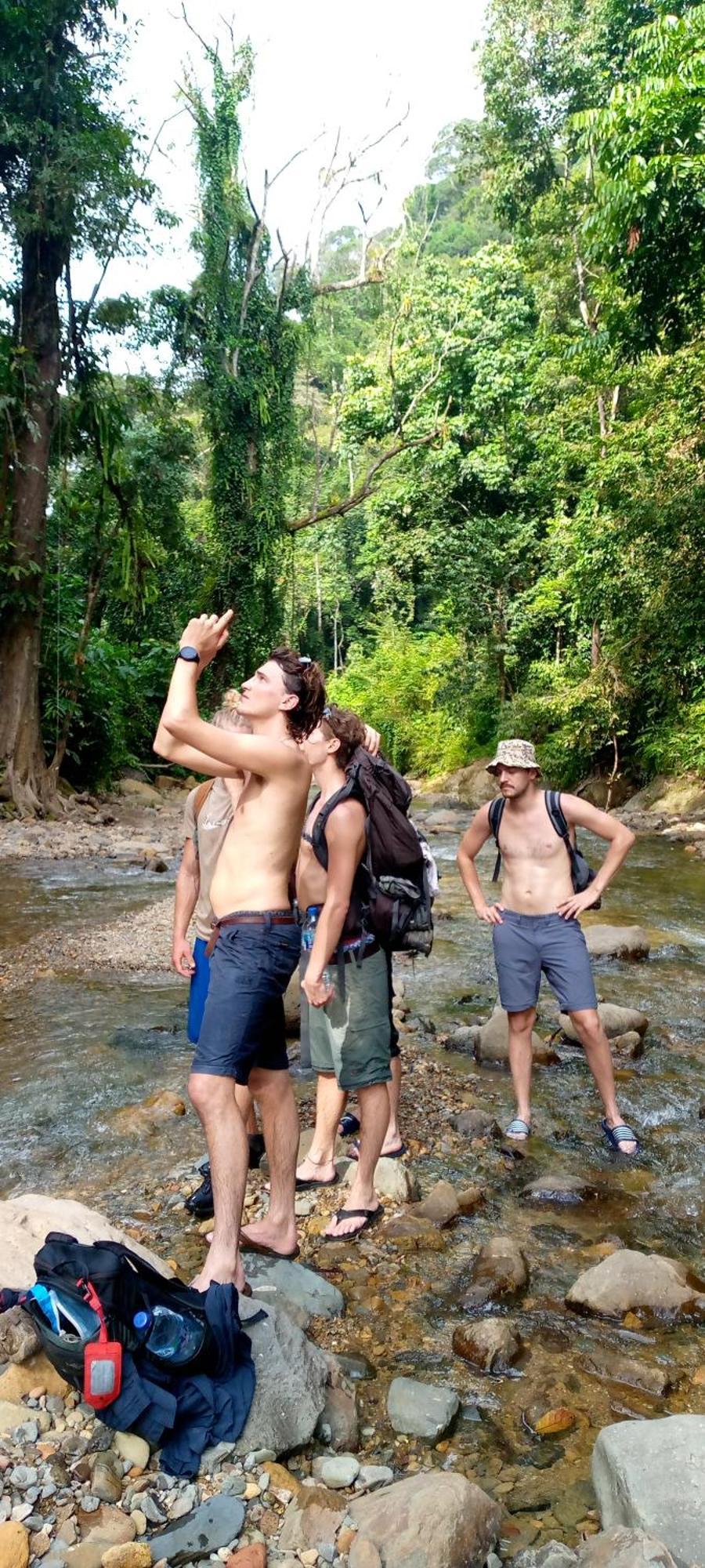Asim Paris Guesthouse & Jungle Trekking Bukit Lawang Exterior foto