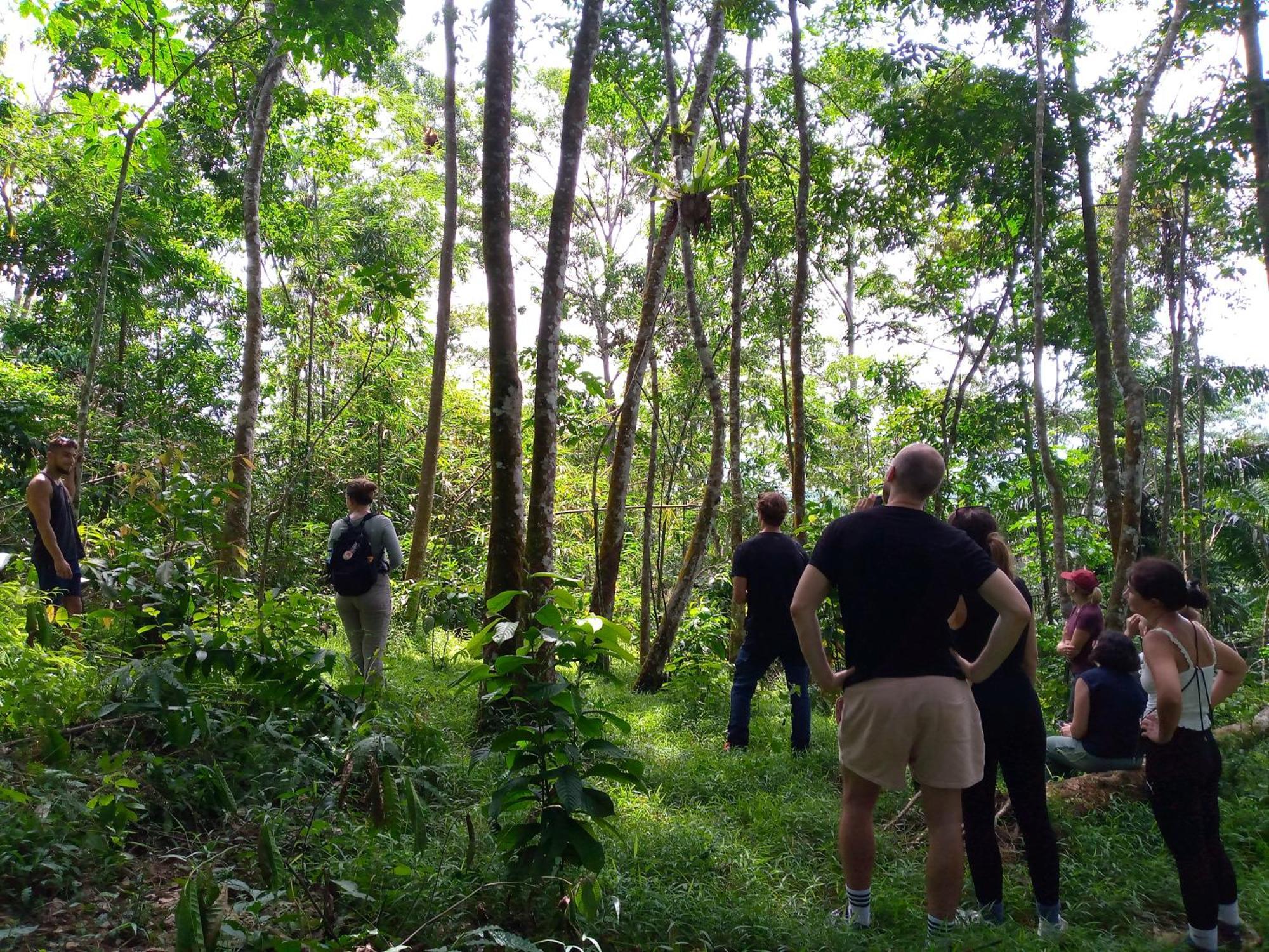 Asim Paris Guesthouse & Jungle Trekking Bukit Lawang Exterior foto