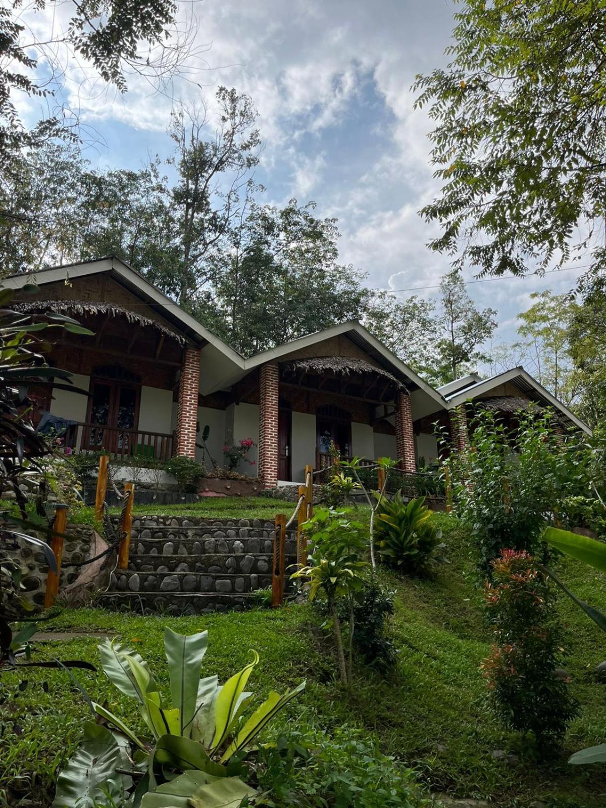 Asim Paris Guesthouse & Jungle Trekking Bukit Lawang Exterior foto