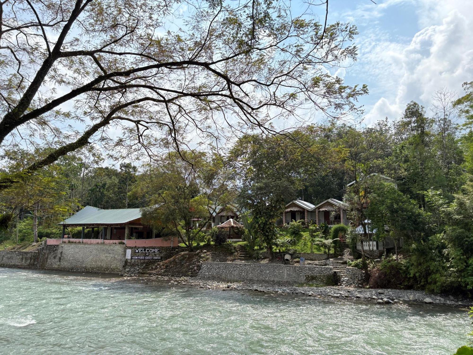 Asim Paris Guesthouse & Jungle Trekking Bukit Lawang Exterior foto