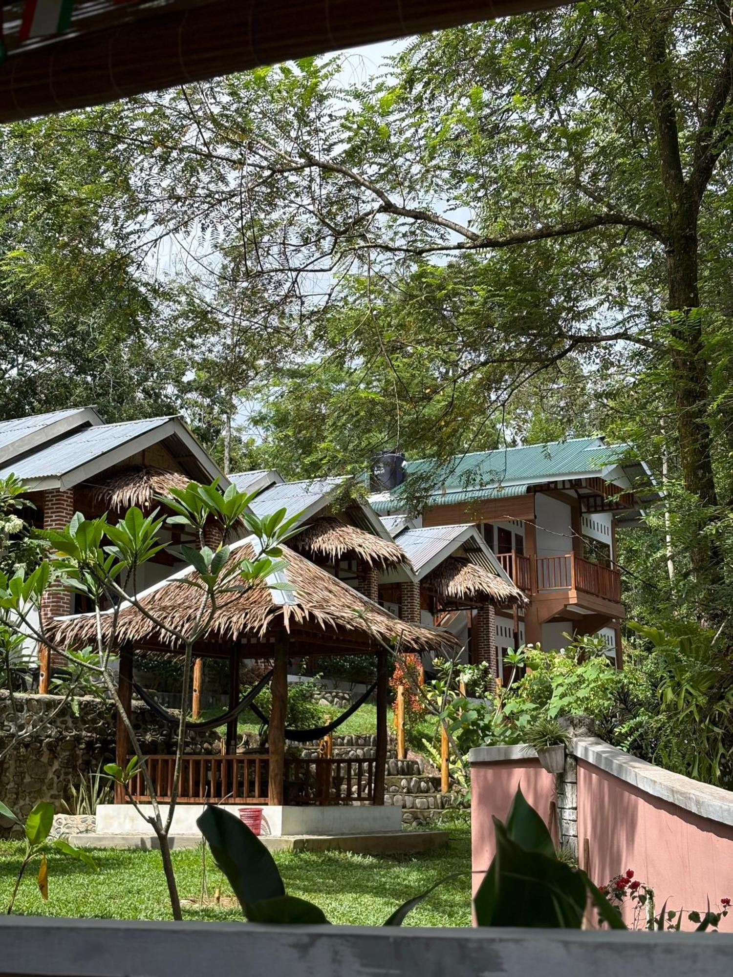 Asim Paris Guesthouse & Jungle Trekking Bukit Lawang Exterior foto